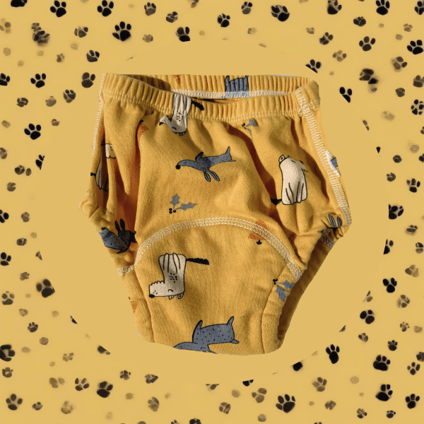 DormiSeguro™ – Ropa Interior de Entrenamiento Infantil Reutilizable